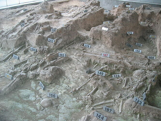 800px-Nanjing_massacre_bones_of_victims1.jpg