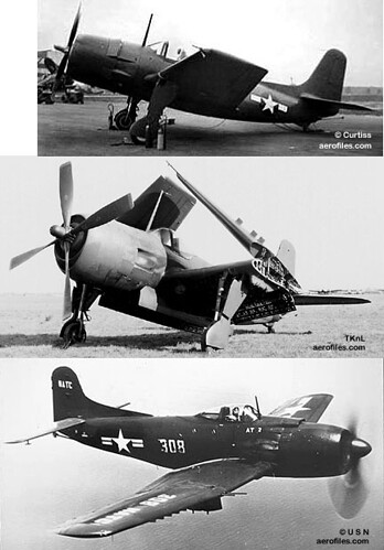 Curtiss XBT2C x2 & AM (lower).jpg