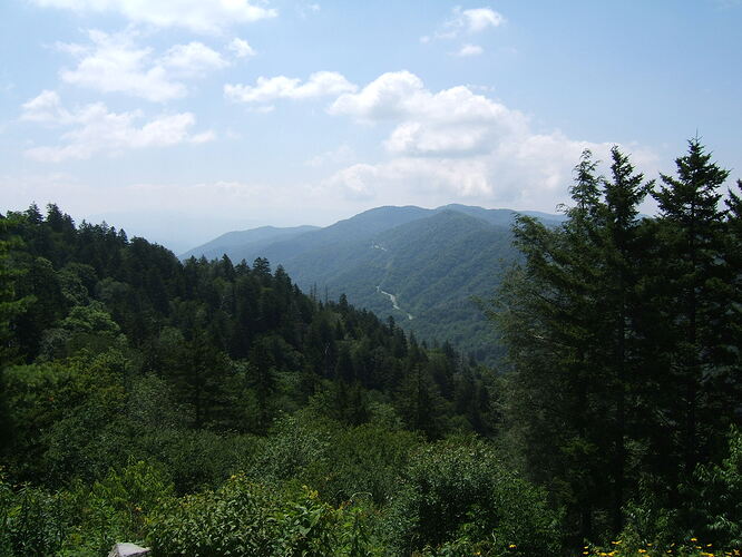 At the top of the Smokies 005.jpg