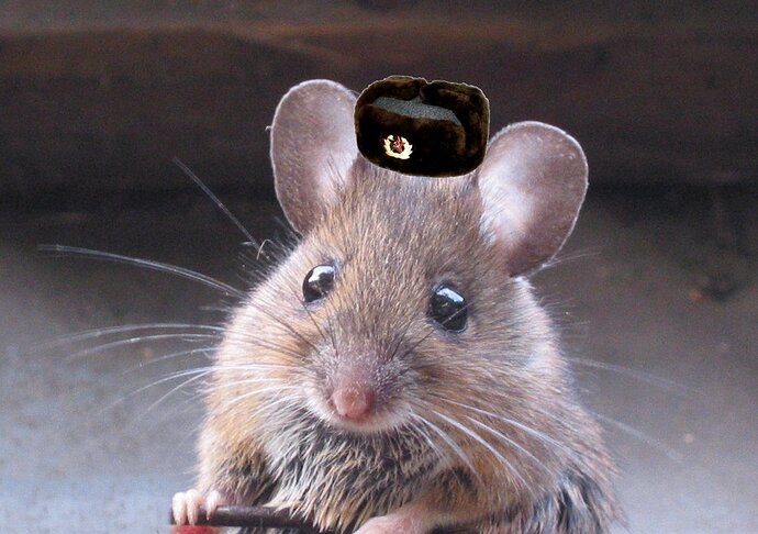 NKVD Mouse.jpg