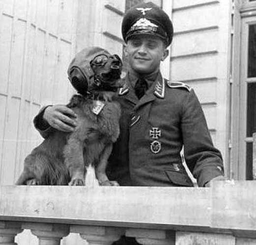 Dogfight