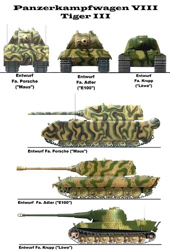 tiger3.jpg