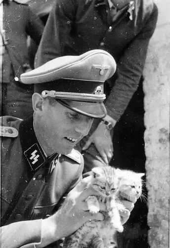 cat katze german nazi wehrmacht army waffen-ss animal pet kitten wars1