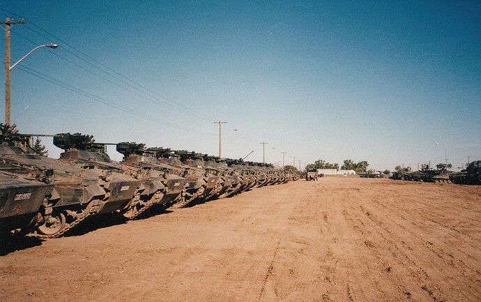 Viele Marder in Kanada 1996.jpg