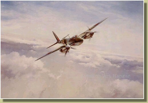 Mossie scouting, all alone. Nobody can catch you!.jpg