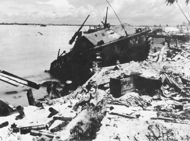 USMC-C-Tarawa-p51.jpg