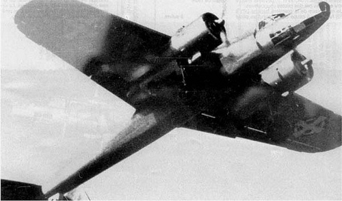 do-17.jpg