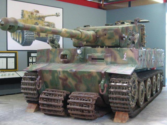 tiger_front_02munio.jpg