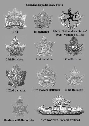 Canadian insignia.jpg