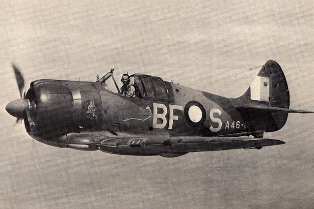 DL463Bb.jpg